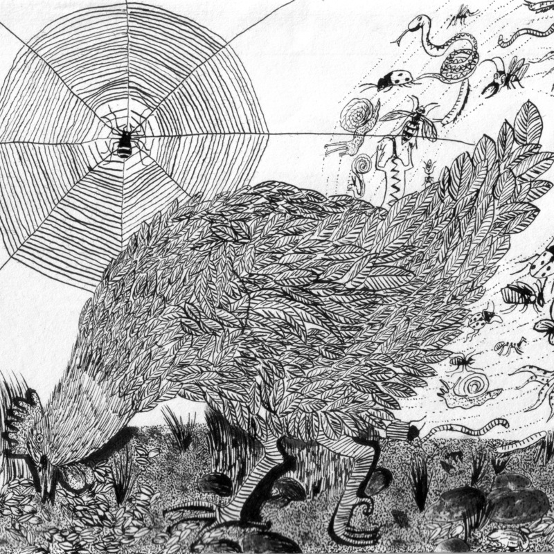 Ilustrace ke knize Bestiář